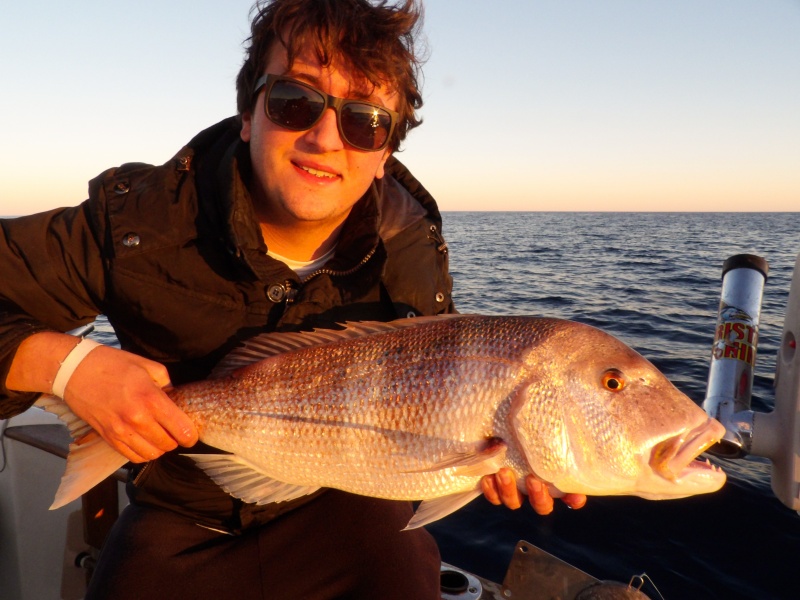 Avec un calamar en vif, la pêche du denti au downrigger Kristal Fishing est hyper efficace !