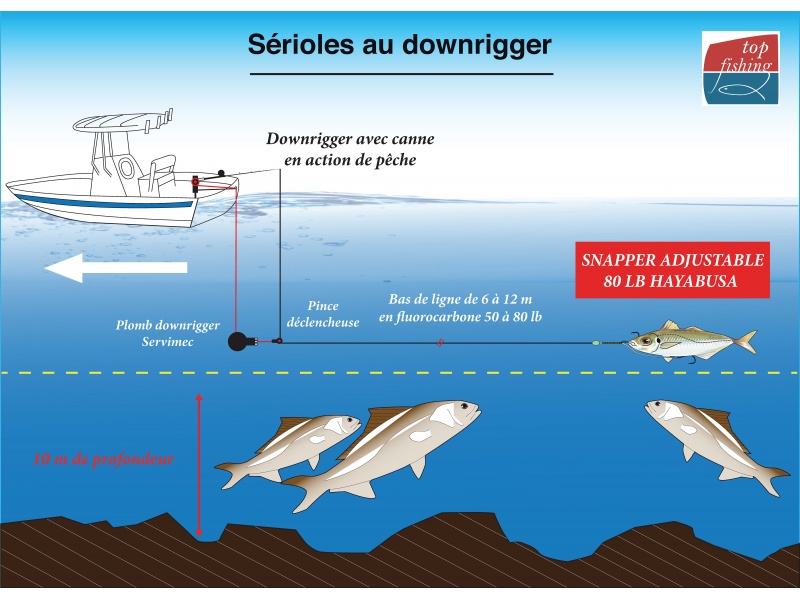 Pour cette session ciblant la sériole, Fabien utilise un Snapper Adjustable Rig 80 lb avec hameçons 8/0 à 10 m au dessus du fond