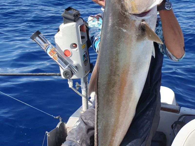 Fabien Harbers vous recommande également la Raissa Italcanna pour la pêche des grosses sérioles (ex : au vif avec un downrigger comme ici)