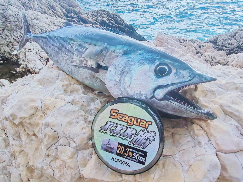 Le FXR Seaguar est un des meilleurs fluorocarbone au monde !