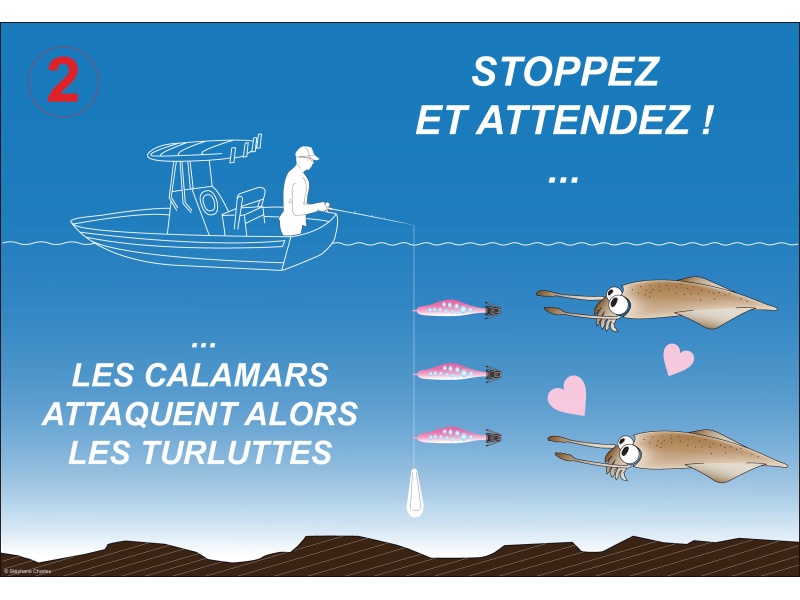 Le maniement tataki est super simple ! (ici avec des turluttes Bubblin Yo-Zuri)