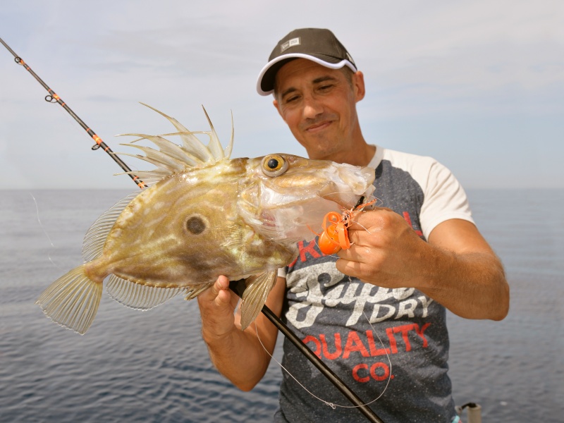 Beau Saint Pierre pris au Grumpy Fish Glowbite ! Beau Saint Pierre pris au Grumpy Fish Glowbite !