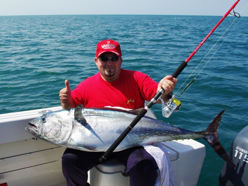 Magnifique thon pris au jig minnow et aussitôt libéré Magnifique thon pris au jig minnow et aussitôt libéré