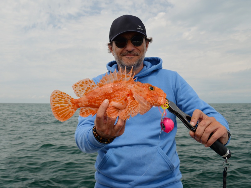 L’Omega Slider Head X-Paragon est un des seuls madaï-kaburas pour les pêches très profondes ! L’Omega Slider Head X-Paragon est un des seuls madaï-kaburas pour les pêches très profondes !