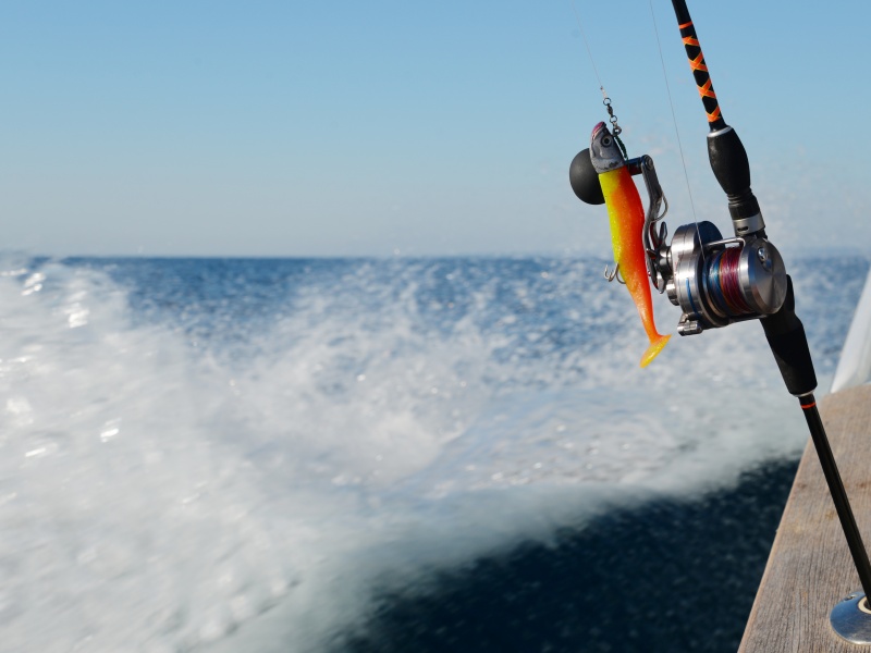 La Slow Pitch Italcanna permet même de pêcher avec des shads lourds ! La Slow Pitch Italcanna permet même de pêcher avec des shads lourds !