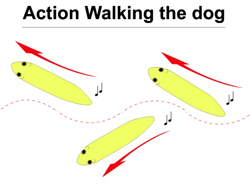 Animation d'un stickbait en Walking the Dog