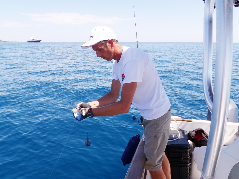 Fabien Harbers en train de fixer son bas de ligne avec vif sur la pince déclencheuse de son downrigger