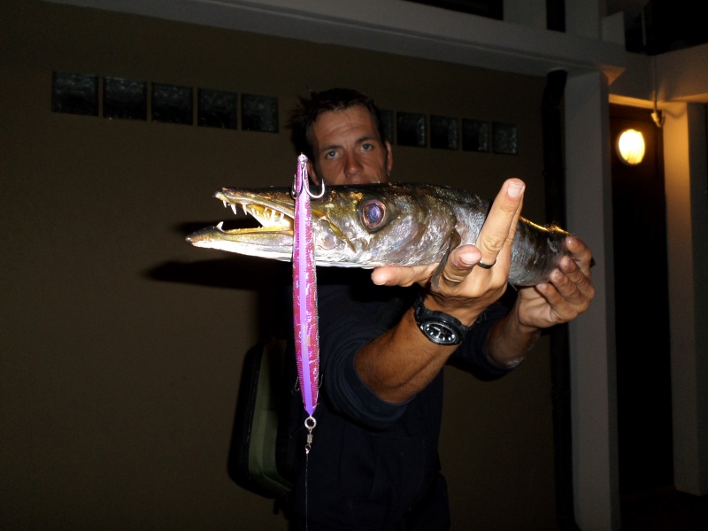 Les dents d’un barracuda sont ultra tranchantes !