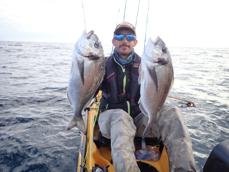La pêche au tenya est une technique ultra efficace sur les beaux sparidés ! La pêche au tenya est une technique ultra efficace sur les beaux sparidés !