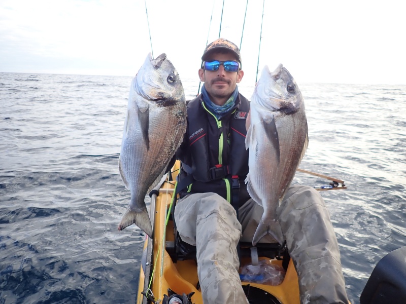 La pêche au tenya est une technique ultra efficace sur les beaux sparidés ! 