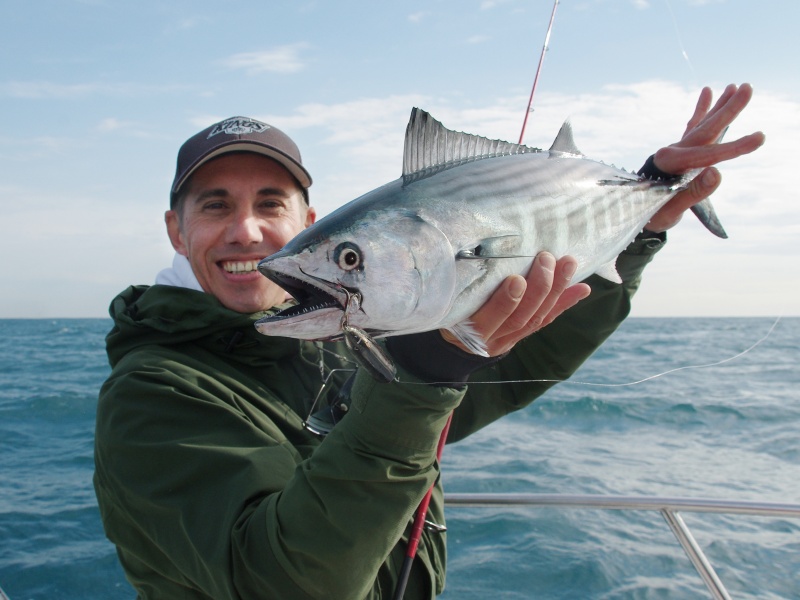 Belle pélamide prise au Mini Spook Heddon coloris chromé dos noir 