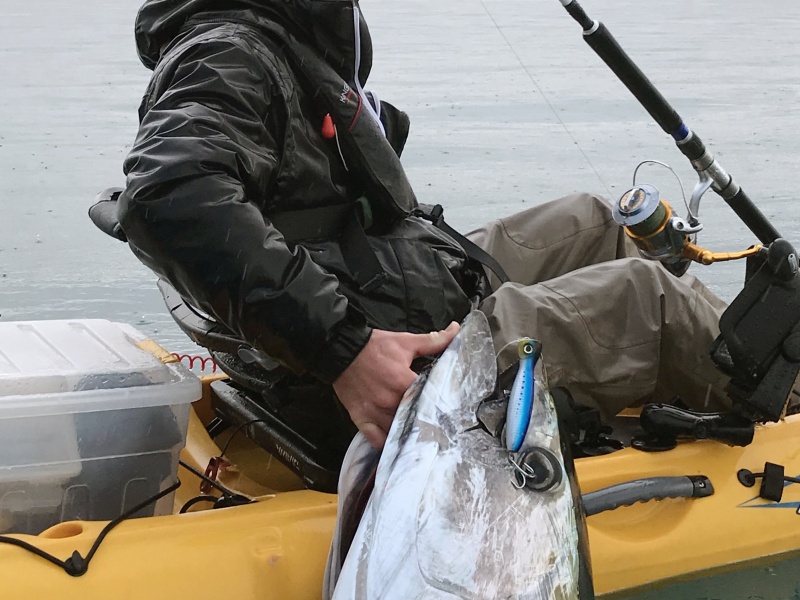 Thon pris avec un Mag Popper Yo-Zuri lors de son premier essai en France ! Thon pris avec un Mag Popper Yo-Zuri lors de son premier essai en France !