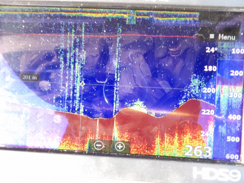 Un bon sondeur avec une sonde puissante sont très importants en pêche profonde !