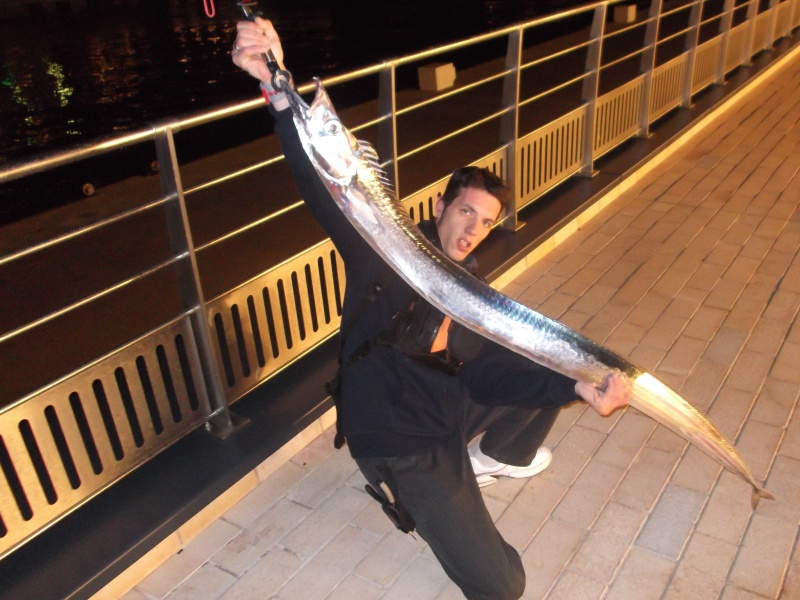 Fabien Harbers avec un immense sabre en shore jigging Fabien Harbers avec un immense sabre en shore jigging