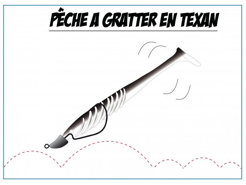 Un shad monté sur une tête plombée texane permet de « pêcher à gratter » sans accrocher Un shad monté sur une tête plombée texane permet de « pêcher à gratter » sans accrocher