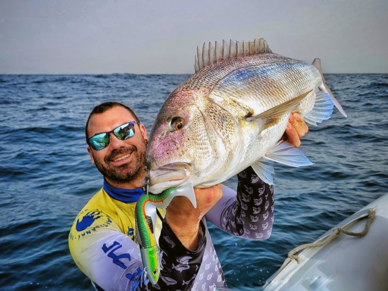 Superbe denti pris au Real Fish JLC coloris girelle mâle !