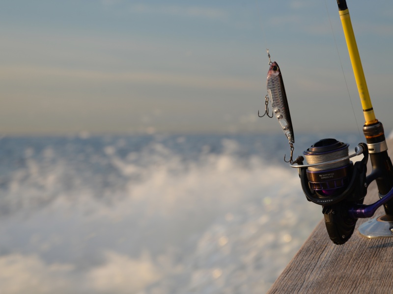 Avec son grand réalisme, le 3 D Inshore Yo-Zuri est idéal pour les pêches de poissons méfiants !