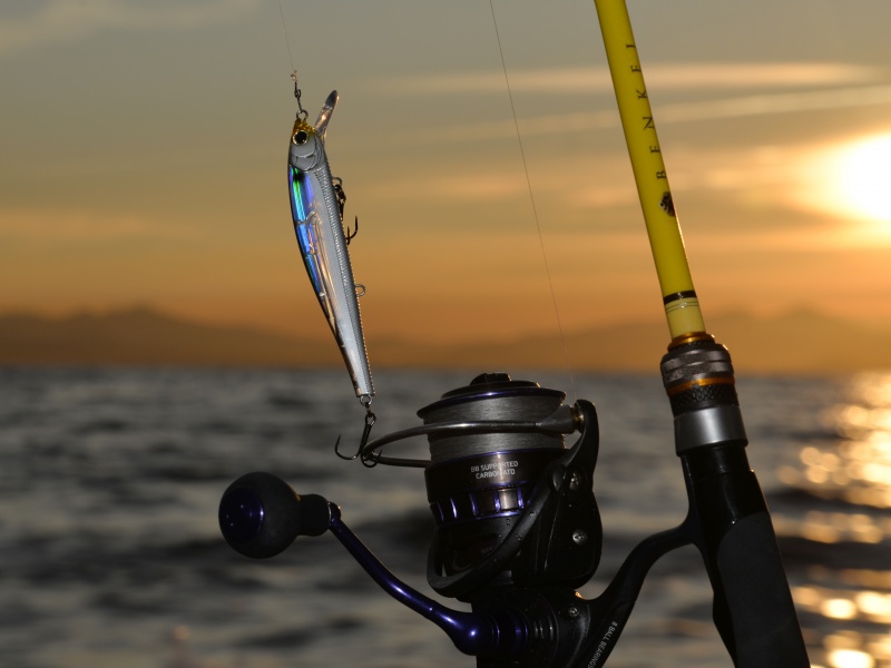 Le 3DB Jerkbait Yo-Zuri offre un réalisme bluffant ! Le 3DB Jerkbait Yo-Zuri offre un réalisme bluffant !