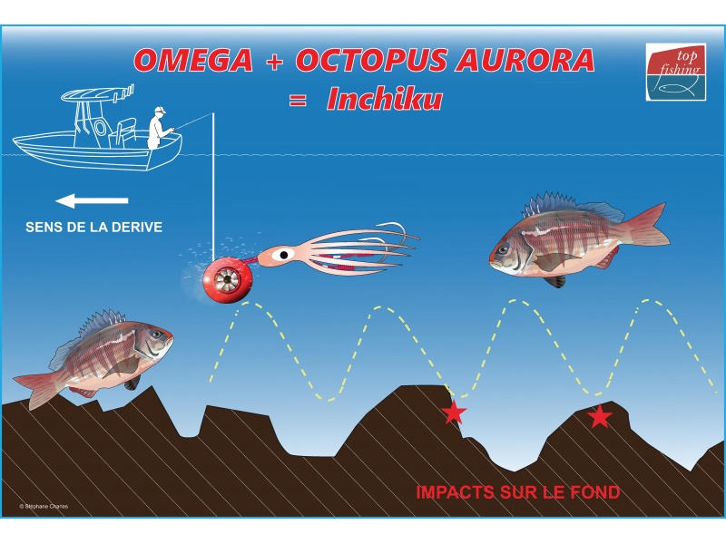 Animation de l’Omega Slider Paragon + Octopus Aurora (configuration inchiku)