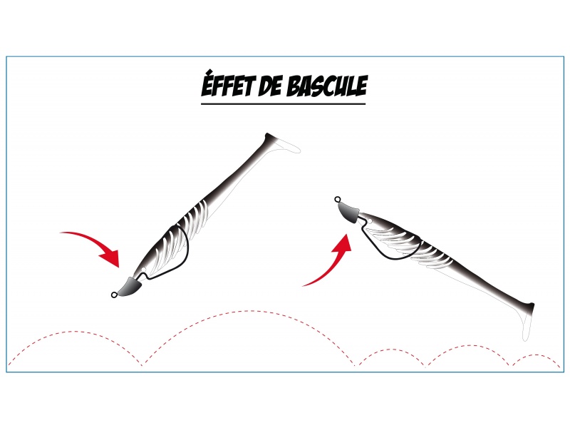 La forme arquée de la tête de la finess nose donne des effets de bascule au shad La forme arquée de la tête de la finess nose donne des effets de bascule au shad