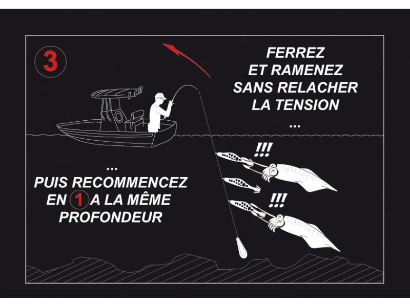Gardez la ligne tendue quand vous ramenez les calamars Gardez la ligne tendue quand vous ramenez les calamars
