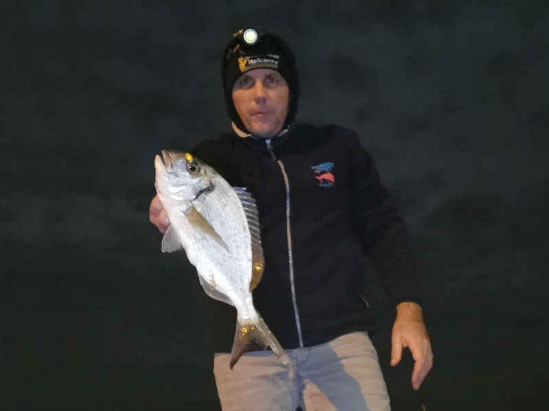 Magnifique daurade royale prise en surfcasting par Water du team Normandie Appâts Magnifique daurade royale prise en surfcasting par Water du team Normandie Appâts