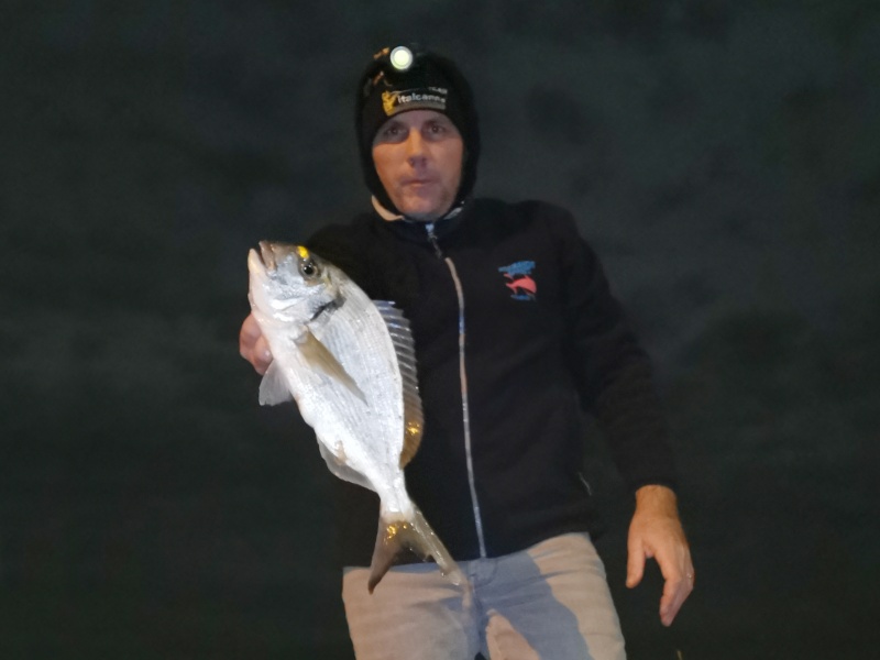 Magnifique daurade royale prise en surfcasting par Water du team Normandie Appâts