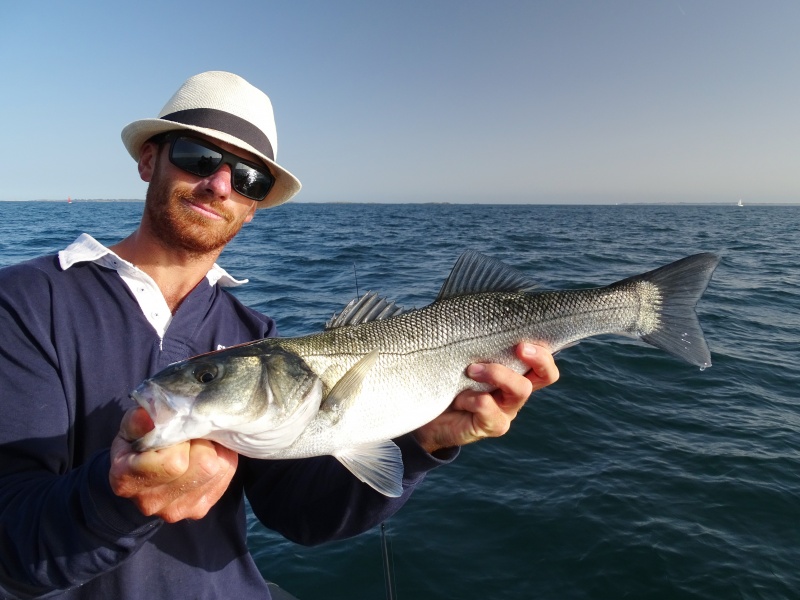 Le 3 D Inshore Yo-Zuri est parfait pour les pêches d’été !