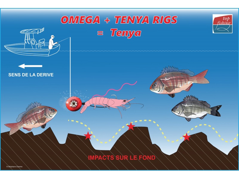 Animation de l’Omega Slider Paragon + assist Omega Tenya Rigs (configuration Tenya)