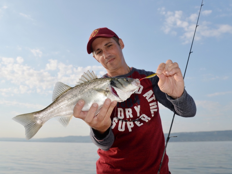 Pour la technique de la traction, un assist hook en queue du casting jig optimise votre ferrage