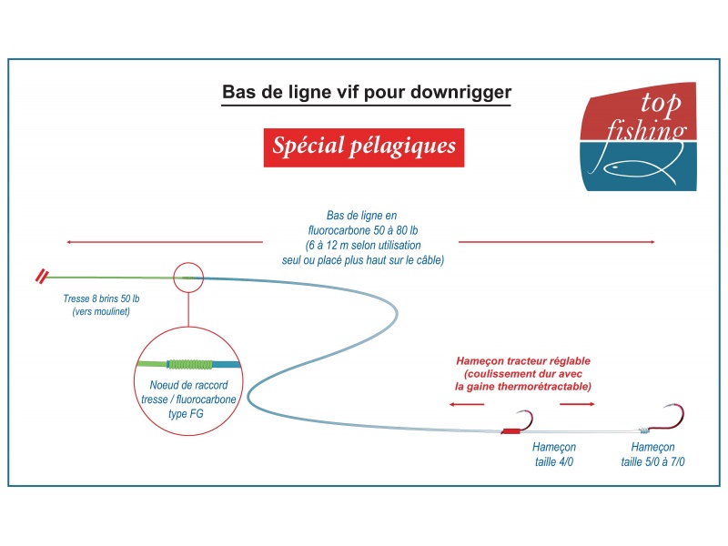 : Bas de ligne vif avec montage « stewart » utilisé par Fabien Harbers pour la pêche en traîne lente des pélagiques au downrigger