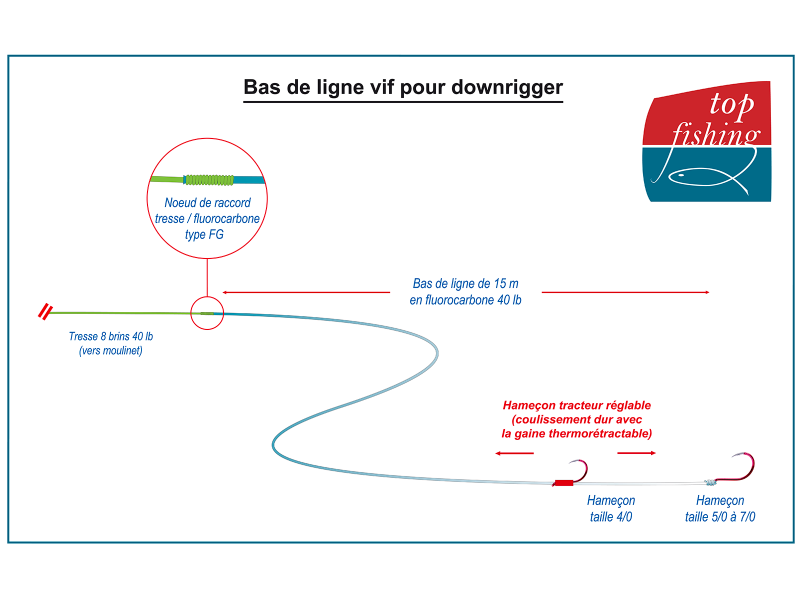 Bas de ligne Downrigger