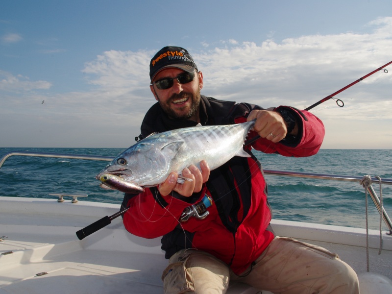 Pélamide pêchée au stickbait Z-Claw Original Zentih 