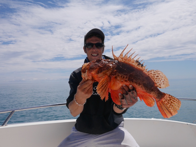 Gros chapon pris en pêche profonde à l'appât Gros chapon pris en pêche profonde à l'appât