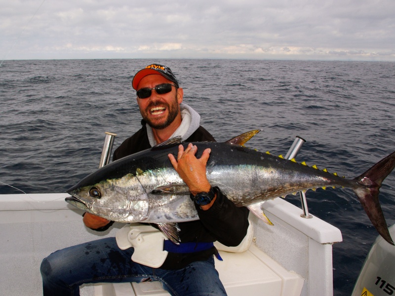 Beau thon pris au jig minnow et aussitôt relâché Beau thon pris au jig minnow et aussitôt relâché