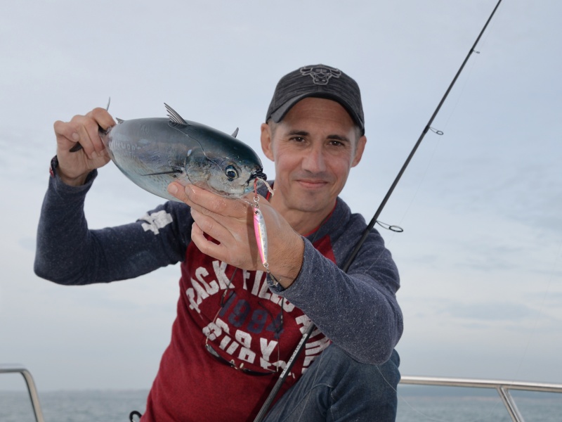 Bonite prise au Jigpara Major Craft 20 g par notre consultant Stéphane Charles Bonite prise au Jigpara Major Craft 20 g par notre consultant Stéphane Charles