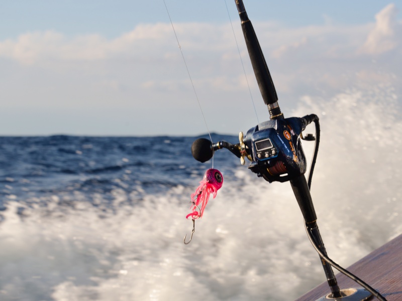 L’Omega Slider Paragon est le leurre-appâts parfait pour les pêches profondes avec la canne In Shore C198 Top Fishing !