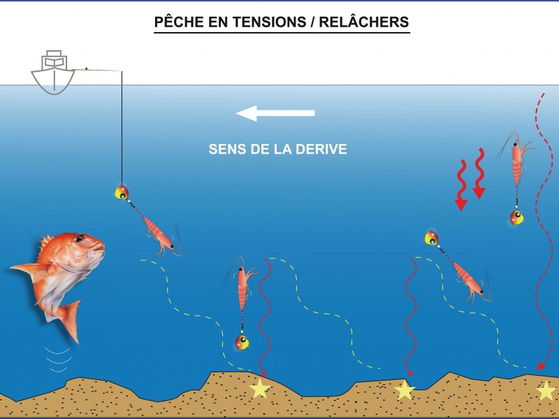 Pêche en tensions / relâchers avec un tenya coulissant Hayabusa