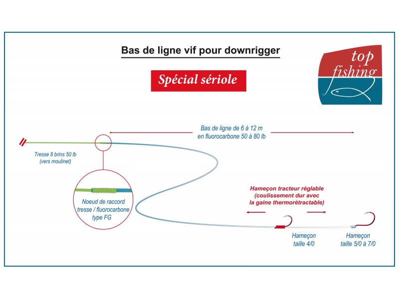 Le bas de ligne downrigger spécial sériole avec montage stewart de Fabien Harbers 