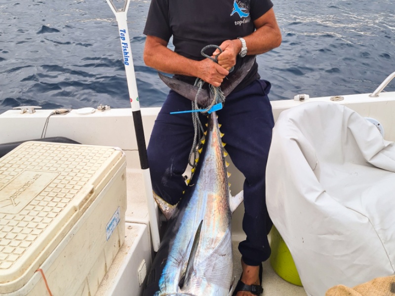 Beau thon rouge sorti avec la pince Top Fishing ! Beau thon rouge sorti avec la pince Top Fishing !