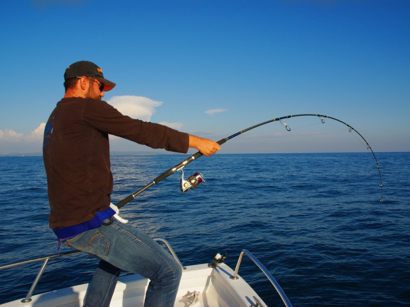 Le jig minnow est un des meilleurs leurres à thons rouges ! 