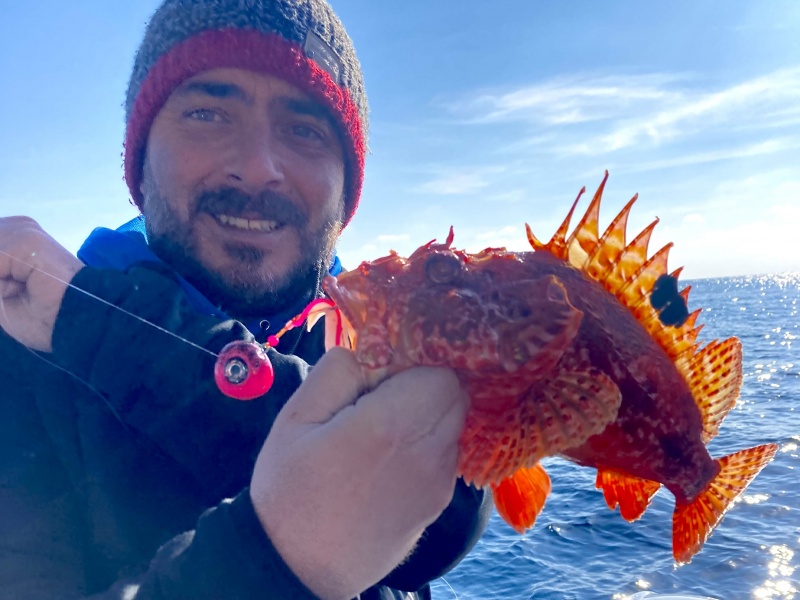 Chapon pris par Jérôme avec une tête Omega Slider Paragon en configuration tenya avec l’assist Omega Tenya Rigs