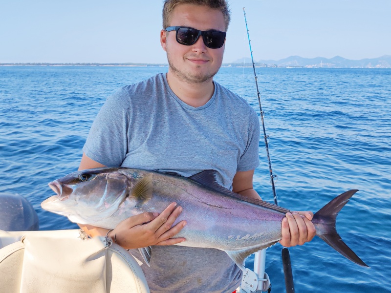 Belle sériole prise au downrigger par un des stagiaires du guide de pêche Fabien Harbers