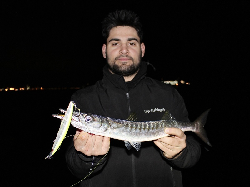 Avec sa nage puissante, le Buginu 140 Seaspin est très efficace sur tous les prédateurs ! Avec sa nage puissante, le Buginu 140 Seaspin est très efficace sur tous les prédateurs !