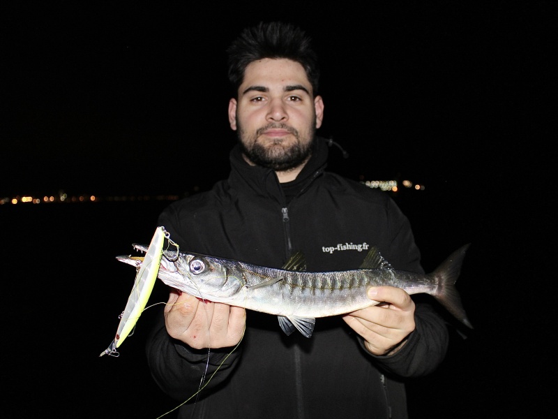 Avec sa nage puissante, le Buginu 140 Seaspin est très efficace sur tous les prédateurs !