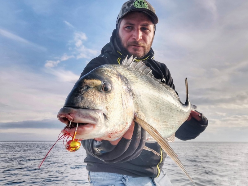 Grosse daurade royale pêchée avec un Oval Tenya Ecogear 36 g par Jérémy Grosse daurade royale pêchée avec un Oval Tenya Ecogear 36 g par Jérémy