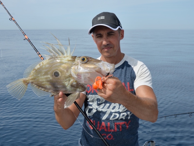 Gros combat avec la canne Slow Pitch Italcanna Gros combat avec la canne Slow Pitch Italcanna