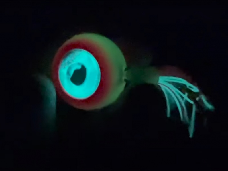 Le madaï jig / kabura Crazy Head Tunita est hyper phosphorescent ! Le madaï jig / kabura Crazy Head Tunita est hyper phosphorescent !
