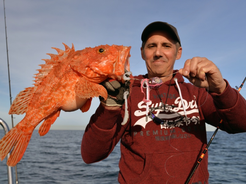 Magnifique chapon d’1,6 kg pris au Kabura avec la Slow Pitch Italcanna !