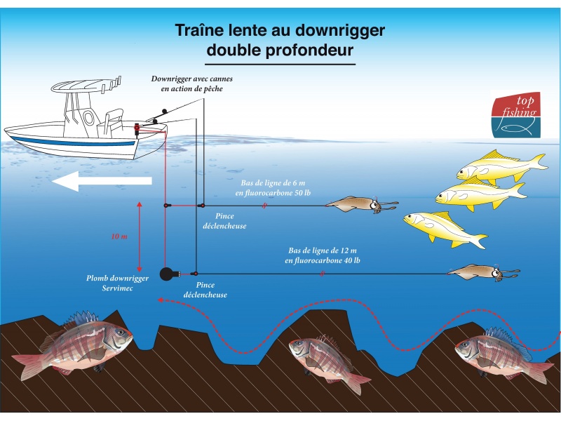Traîne lente au downrigger Traîne lente au downrigger